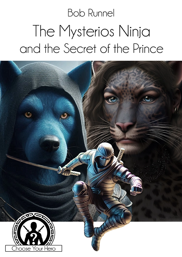 The Mysterious Ninja and Secret of the Prince book cover